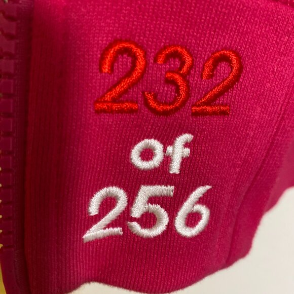 Very Rare Kid Robot Limited Edition hoodie Pink with skulls & bones Size XXL - Picture 4 of 9